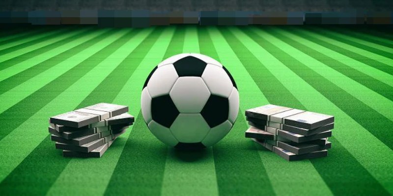 Kinh nghiệm và mẹo khi tham gia vào thể thao Zonclub