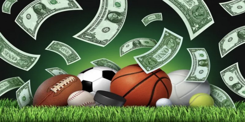 Những bộ môn thể thao nổi bật